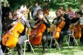 Cellogruppe im Jugendorchester spielt im Bürgerpark