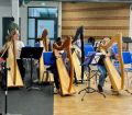 Fünf Kinder und Jugendliche spielen auf Harfen